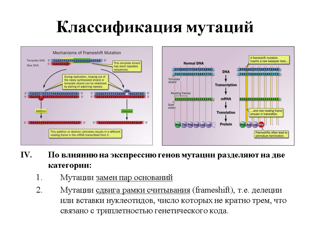 Классификация мутаций схема